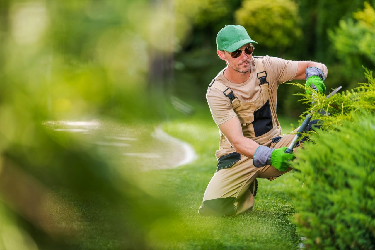 Zo zorg je voor een natuurlijke tuin